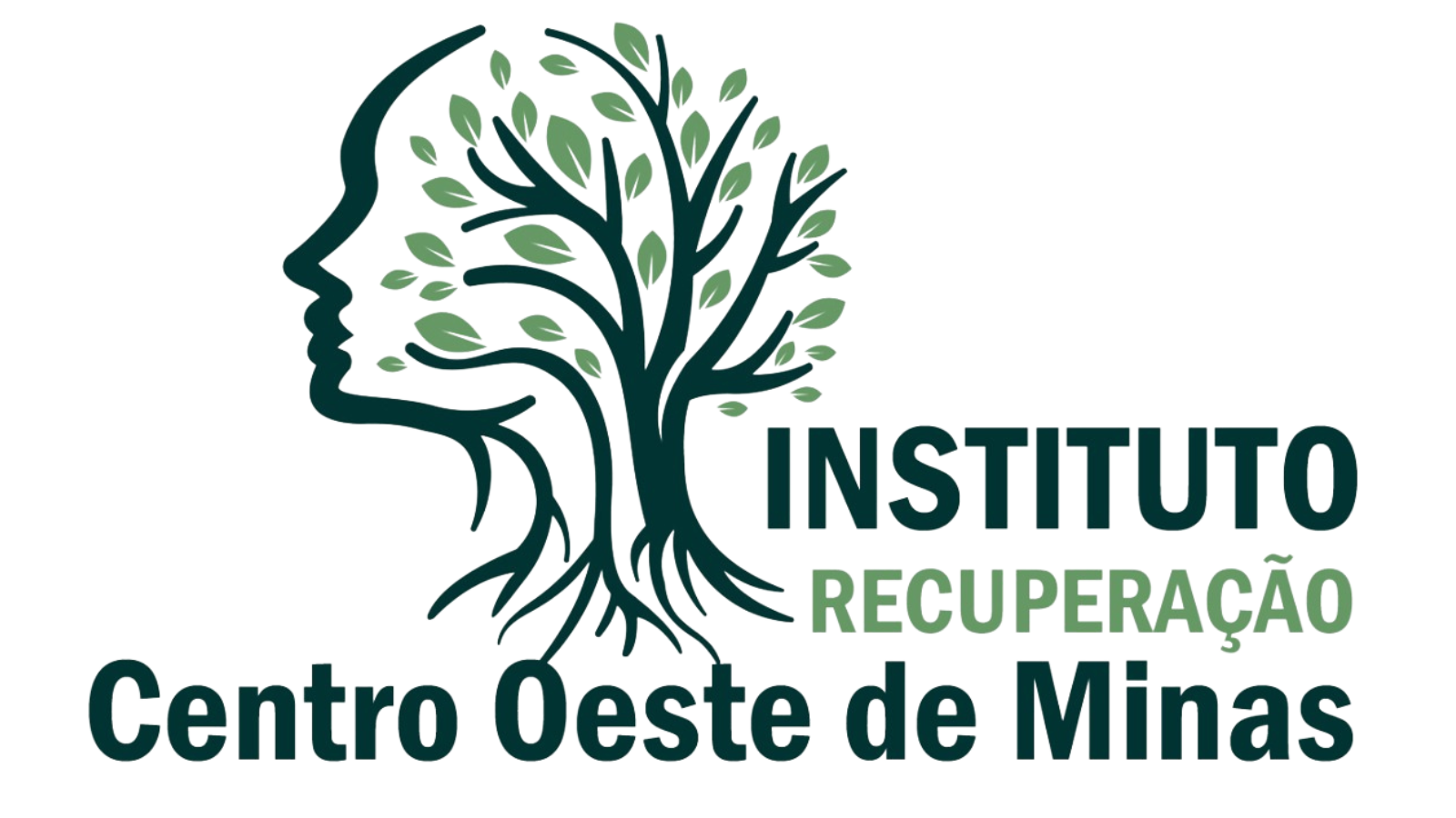 Instituto de Recuperação Centro Oeste de Minas