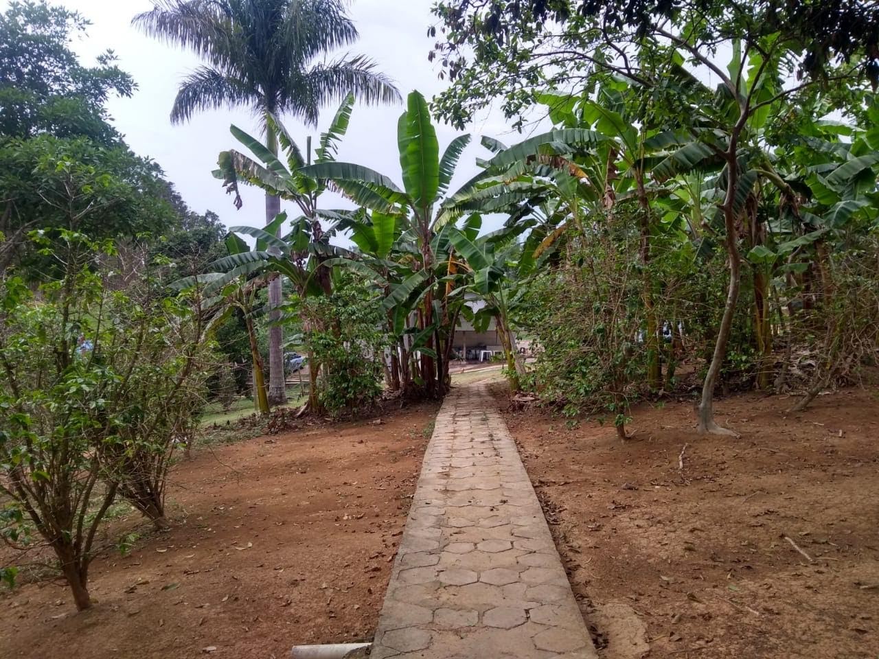 Unidade 01 - Foto 5