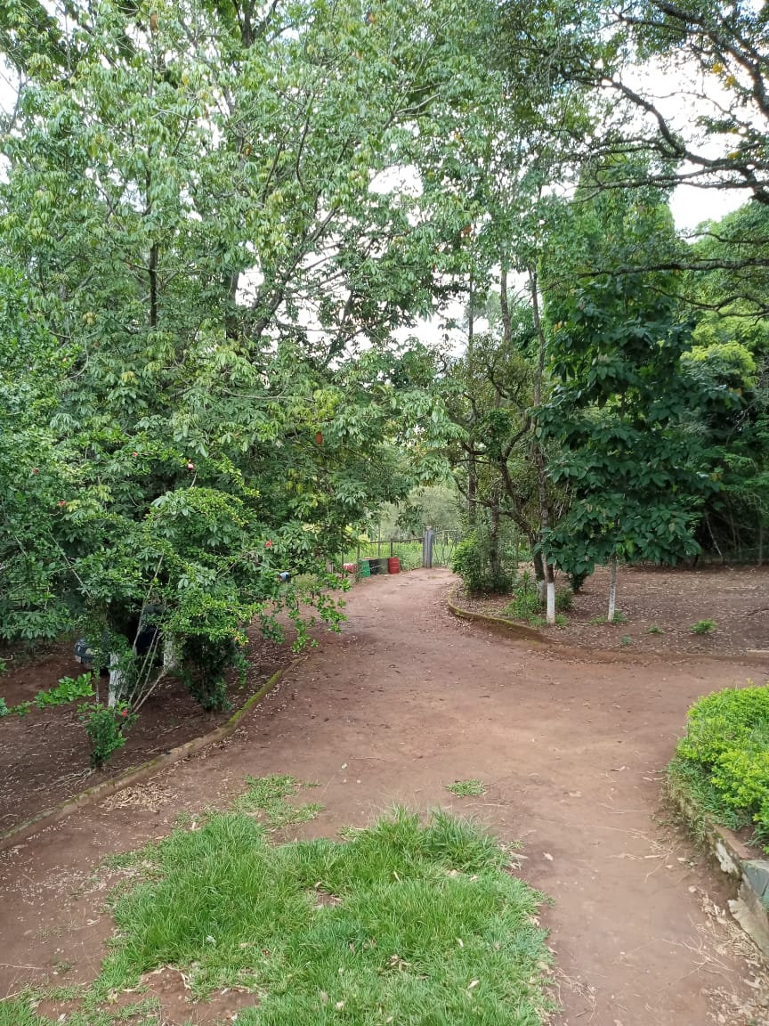Unidade 03 - Foto 5