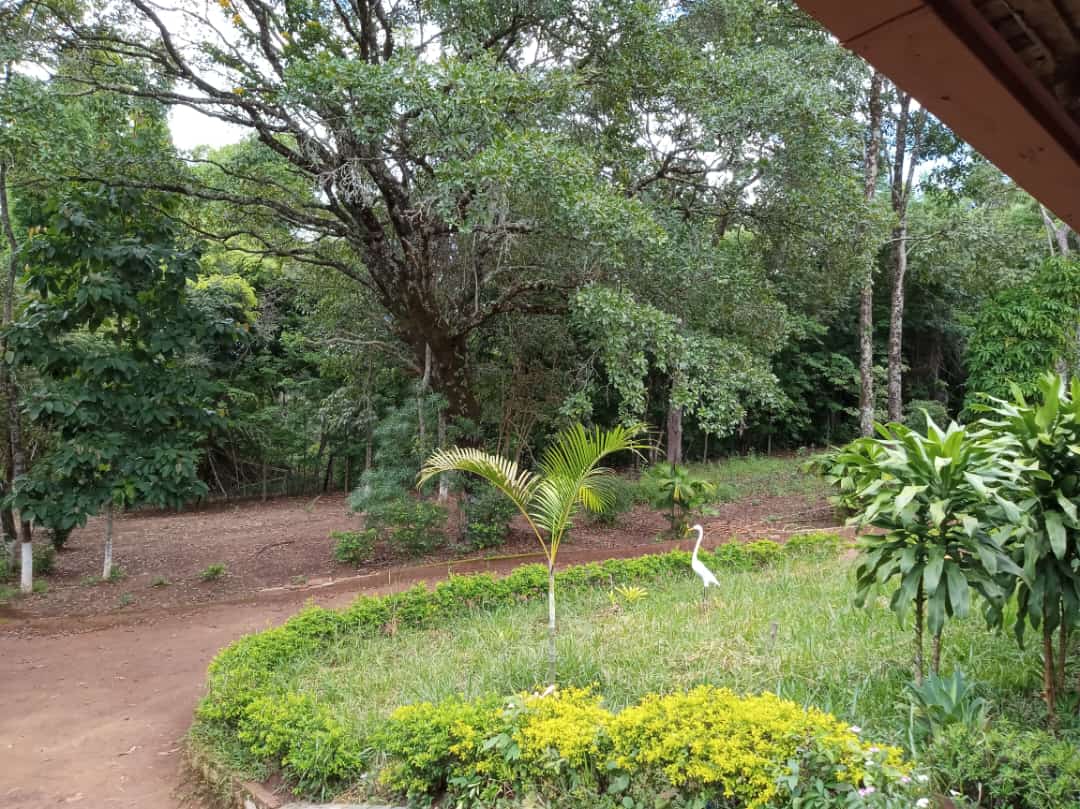 Unidade 03 - Foto 2