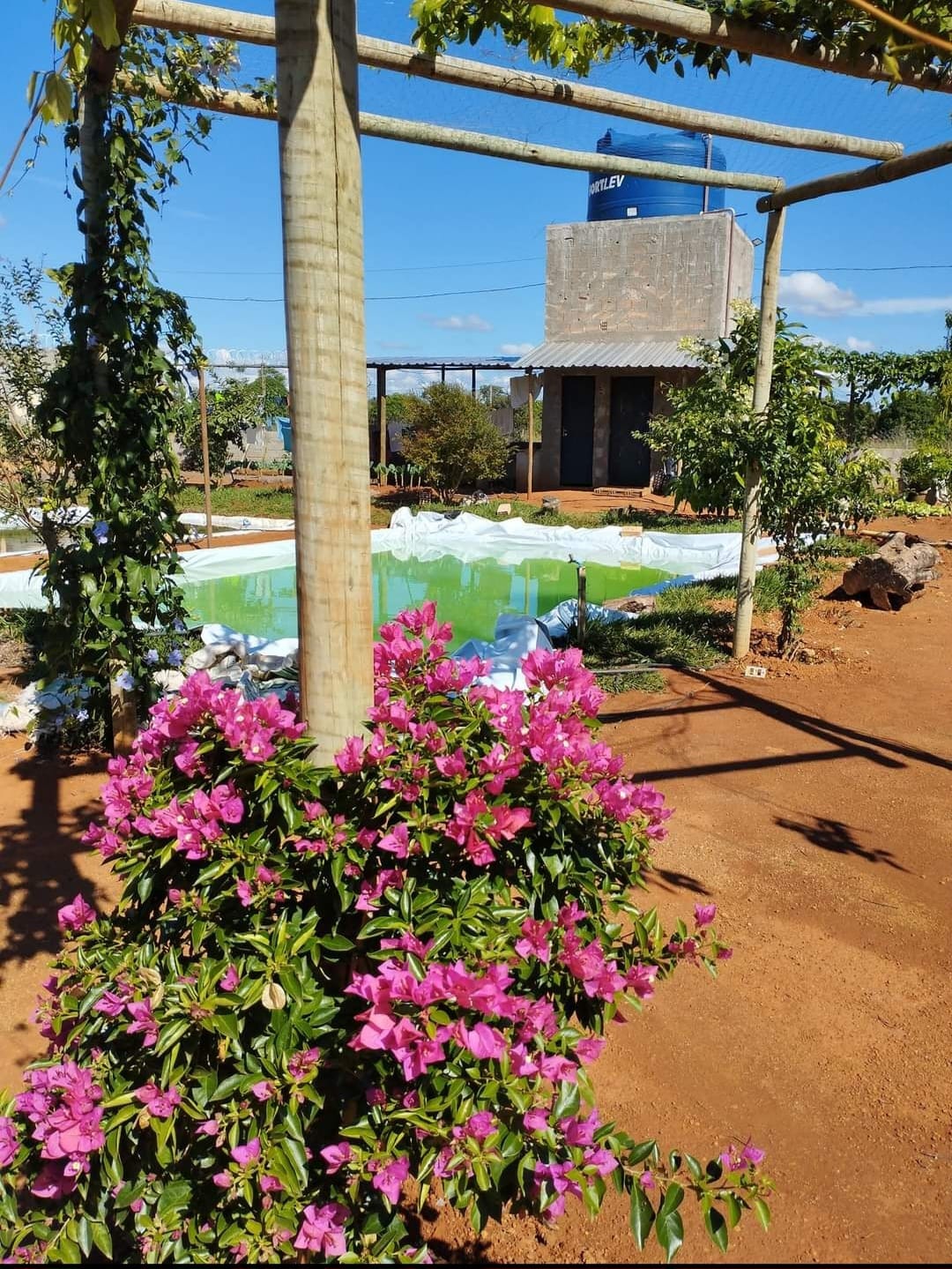 Unidade 09 - Foto 2