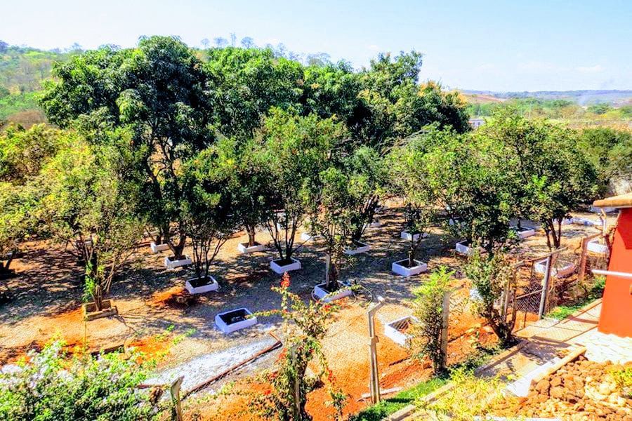 Unidade 10 - Foto 4